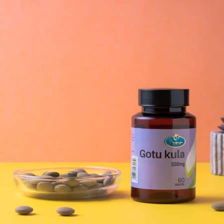 JIVAA GOTU KULA tablets- Gotu Kula (tabletki) 60gm (Copy)
